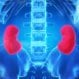 Kidney Infection (Pyelonephritis)