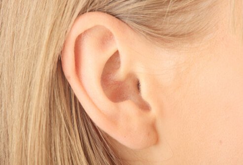 Close-up of an ear.