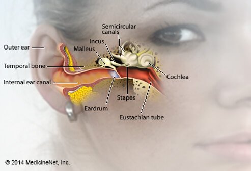 There are numerous causes for tinnitus.