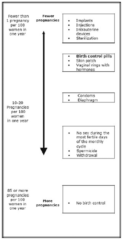 Birth control chart - Illustration
