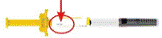 Choose Your Injection Site - Illustration Choose Your Injection Site - Illustration