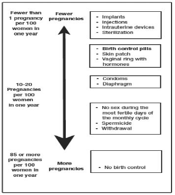 Birth control chart - Illustration