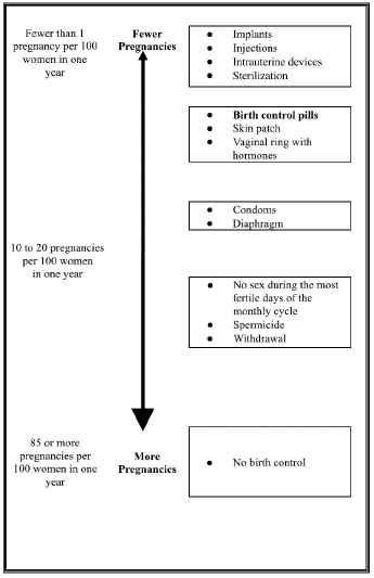 Pregnancy chart - Illustration