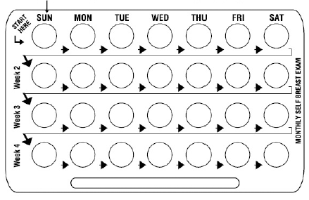 Calendar for DAY 1 STARTERS ONLY - Illustration