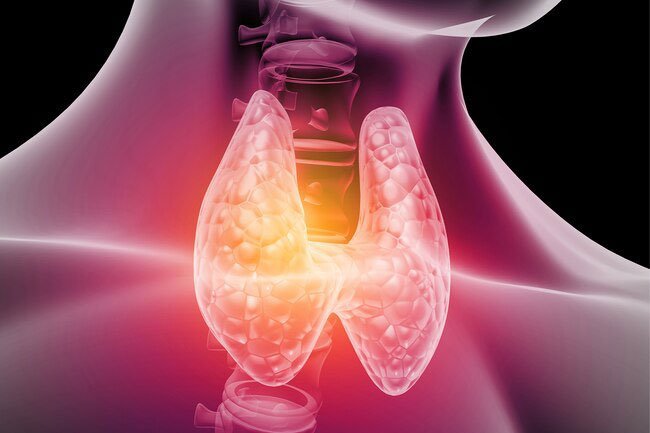 Thyroid-stimulating hormone test shows if your thyroid gland is enlarged or has bumps.
