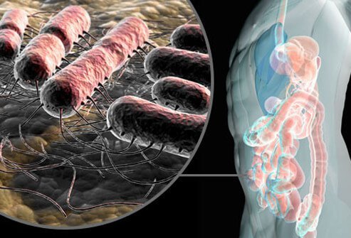 The vast majority of UTIs start when pathogens (usually bacteria like E. coli) reach the urethra and then travel up (retrograde) the urethra to the bladder.