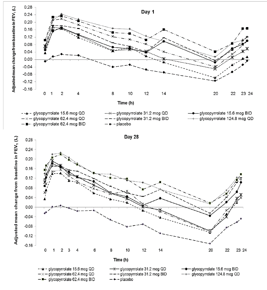 Adjusted Mean Change From Baseline inFEV 1(L)
Over 24 Hourson Day 1 - Illustration