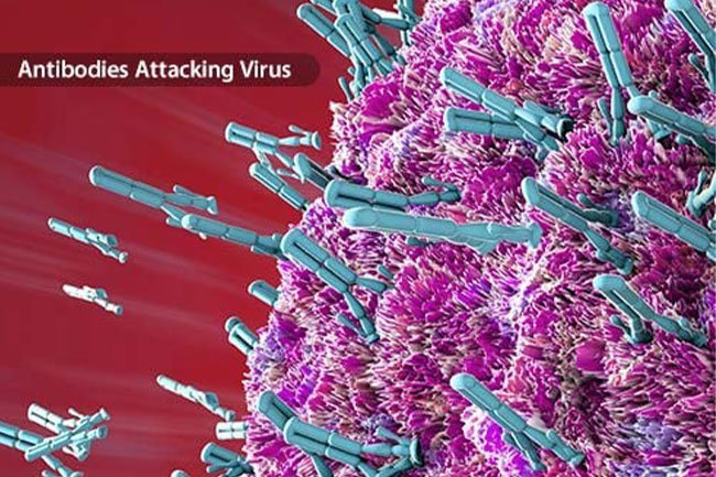 Vaccines help your immune learn to fight against germs to keep you well. 