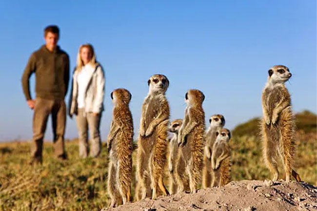 Ask your doctor if you should have certain vaccines before you travel. 