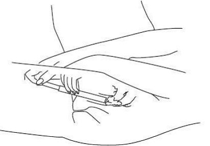 Gently insert into your vagina -  Illustration