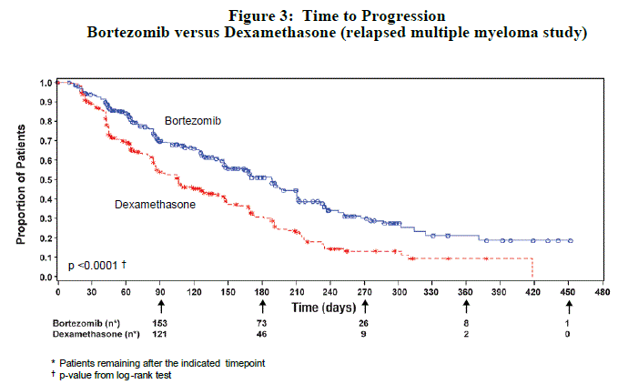 Time to Progression Bortezomib vs
Dexamethasone  - Illustration