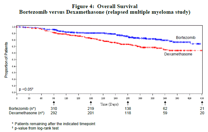 Overall Survival Bortezomib vs Dexamethasone  - Illustration