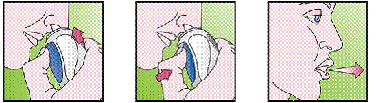 Using your VERAMYST Nasal Spray - Illustration Using your VERAMYST Nasal Spray - Illustration