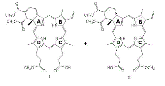 VISUDYNE® (verteporfin for injection) Structural Formula Illustration