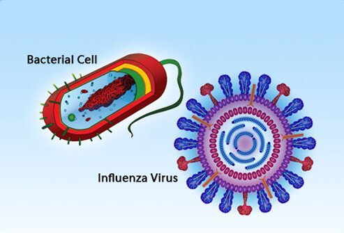 Viruses and bacteria are two types of potentially disease-causing (pathogenic) particles.