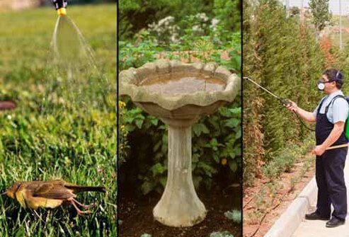 There are three major steps a community can take to protect itself from this virus.