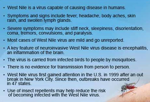 When dealing with West Nile virus, mosquito bite prevention is your best bet.