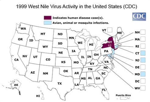 West Nile emerged in the United States for the first time in the New York City area.