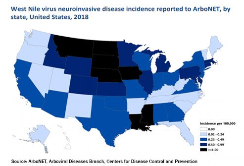 Every state but Hawaii has reported West Nile virus infections.