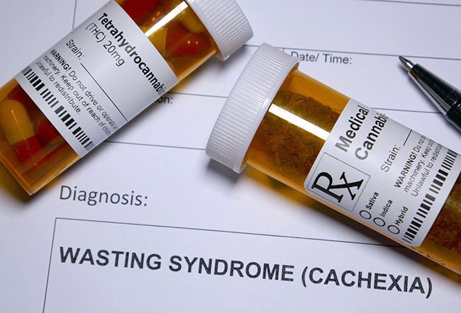 Cachexia or wasting syndrome involves a complex change in the body Cachexia or wasting syndrome involves a complex change in the body