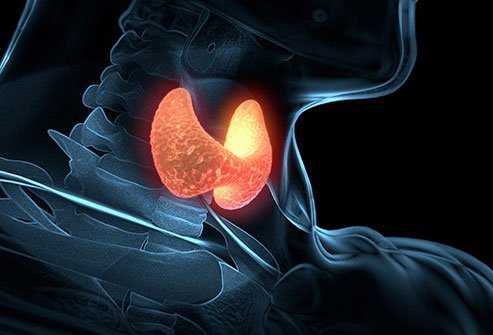 Continuous heart palpitations might be due to an overactive thyroid gland.