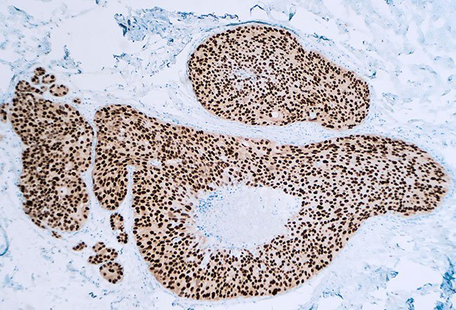 Cell receptors