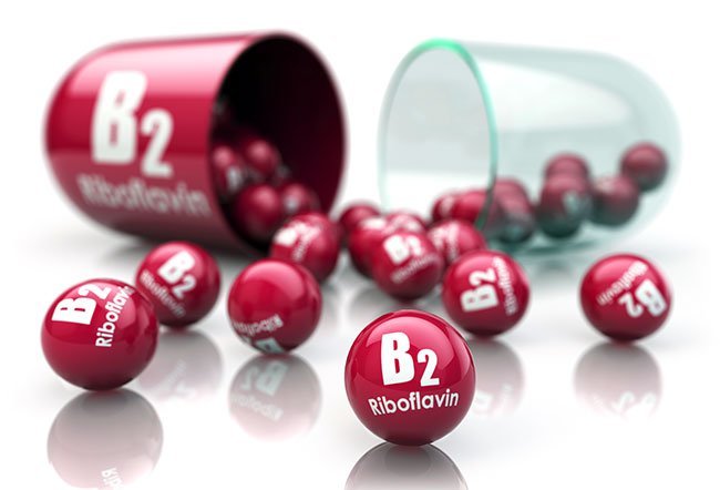 Most of the consumed riboflavin is released into its free form in the stomach