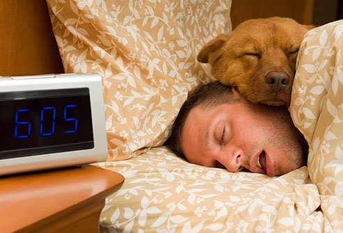 All night long, your body and brain do quite a bit of work that is key for your health.