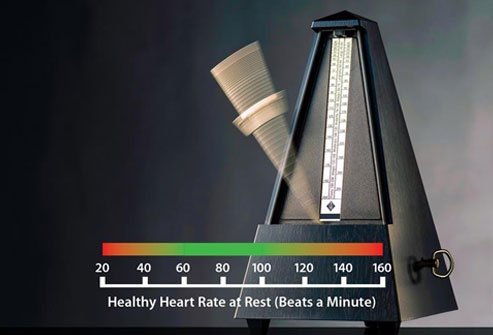 Heart Rate Heart Rate