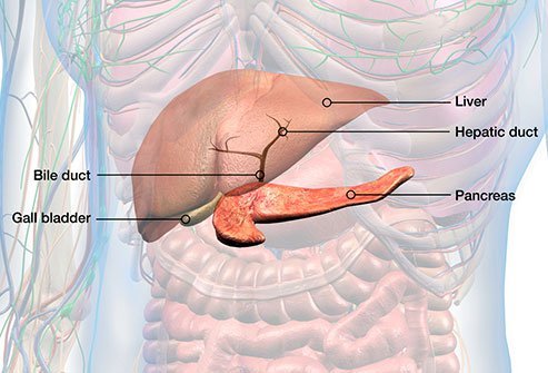 Percutaneous transhepatic cholangiography is a minimally invasive diagnostic and/or therapeutic procedure to evaluate and treat obstruction in the biliary tract. The biliary tract is the drainage system for the liver and gallbladder.