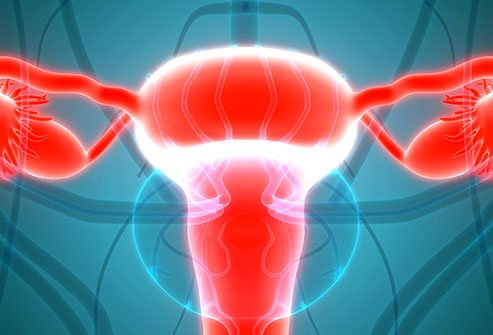 Sacrocolpopexy is a procedure that is used to treat pelvic organ prolapse. Sacrocolpopexy is a procedure that is used to treat pelvic organ prolapse.