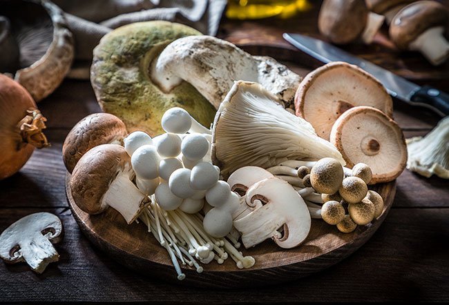types of mushrooms