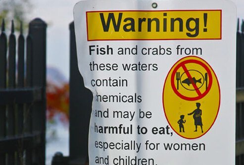 Photo of environmental warning sign.