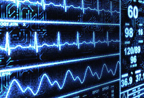 Heart Rate Heart Rate