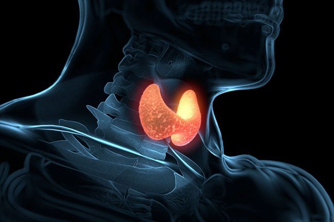 An overactive or underactive thyroid gland can produce mood symptoms. 