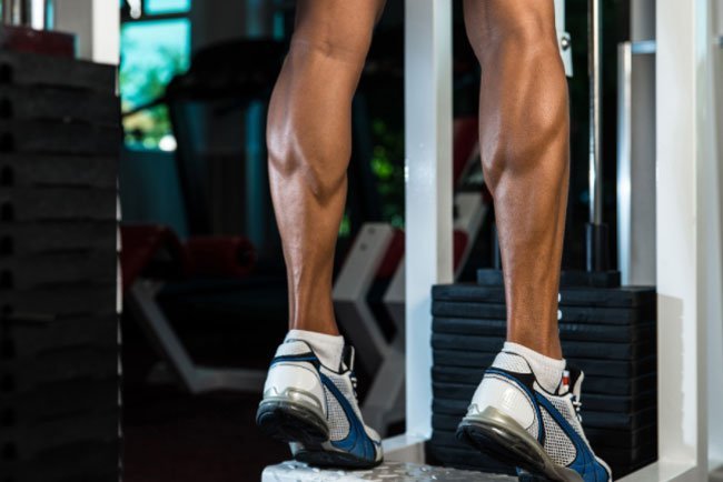 There's a group of muscles on the back of each lower leg called calf muscles.