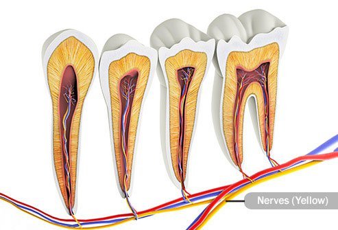 After surgery, you may experience numbness, infection, or other health problems.