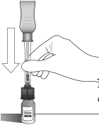 Connect the vial adapter to the vial - Illustration