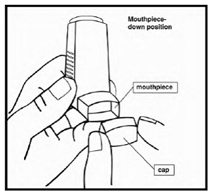 The parts of XOPENEX HFA inhaler - Illustration