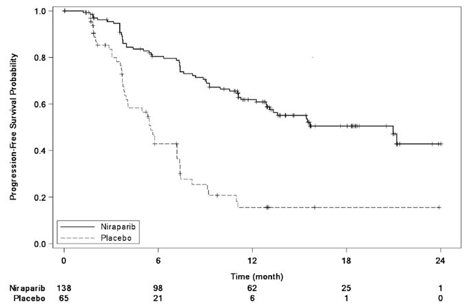 Progression-Free Survival in Patients with
HR-Deficient Tumors - Illustration