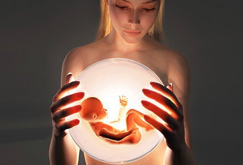 Pregnant women should take care not to contract the Zika virus. 