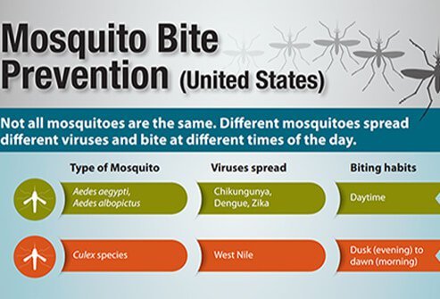  If the mosquito bites a person infected with Zika, the mosquito becomes infected with Zika virus and can spread the virus when it bites another person.