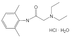 >Remove ZINGO from the pouch - Illustration