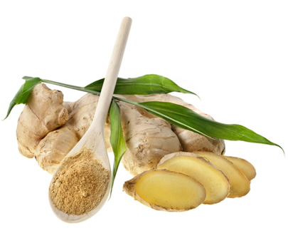 Ginger, medicinal properties, edible and medicinal plants, encyclopedia, recipes, tincture, decoction, medicine