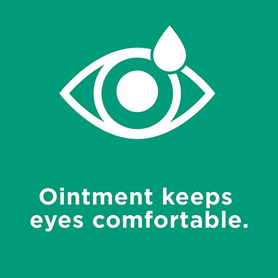 Systane Nighttime Lubricant Eye Ointment